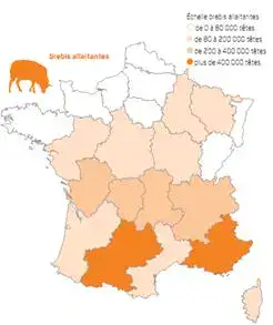 Carte Ovinpiades