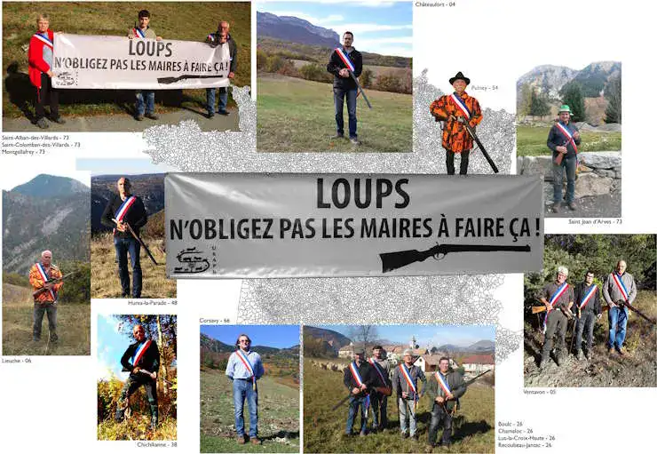 Loup Maire