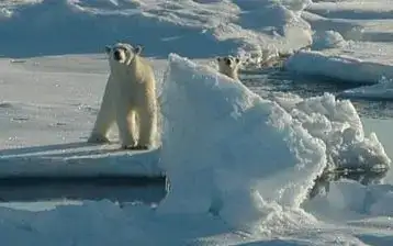 Propagande ecologiste