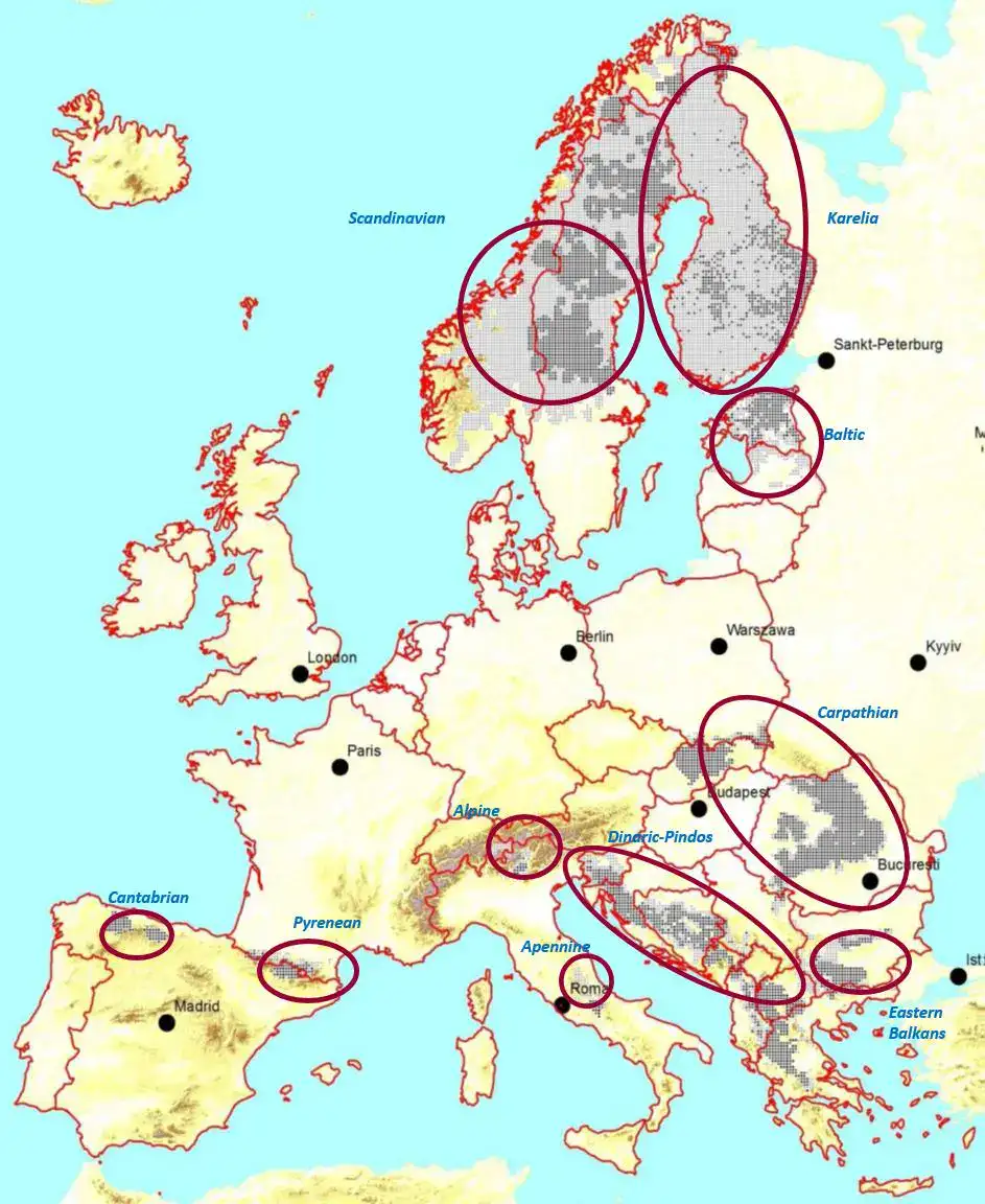 Carte-Ours-Europe