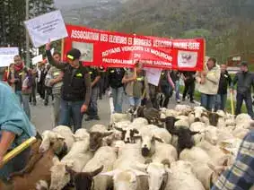 manifestation contre le loup 2009