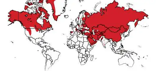 Carte presence loup dans le monde