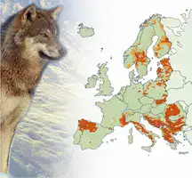 Loups écologistes