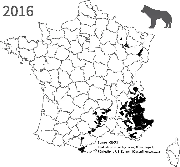 France Loup