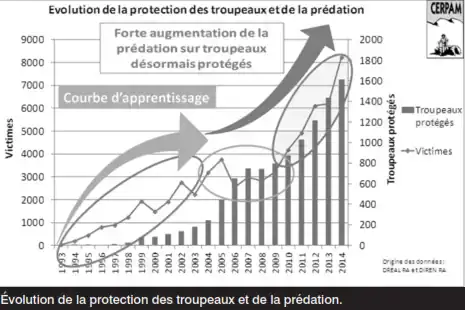 eleveurs-ariegeois-tres-inquiets-face-a-l-experience-des-alpins