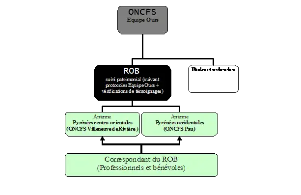 Organigramme