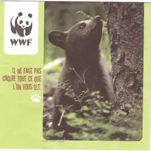 Ours-wwf-Depliant-Provoc