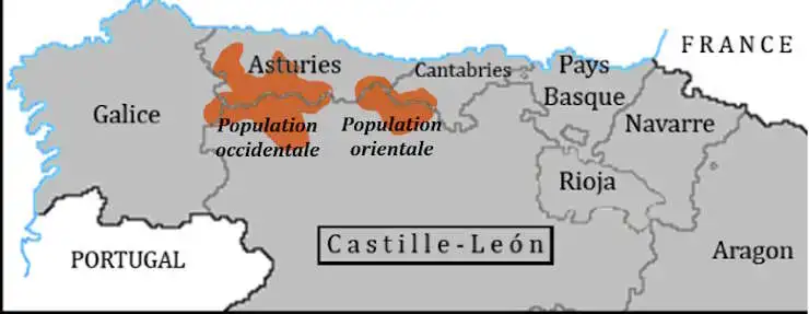 poison-castille-leon-asturies-picos-de-europa-carte