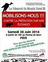 Manif Foix affiche