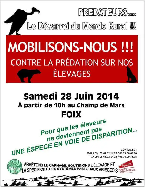 Manif Foix affiche