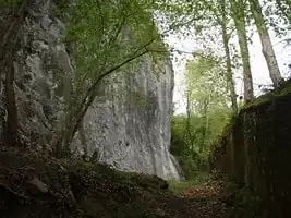 Grottes du loup