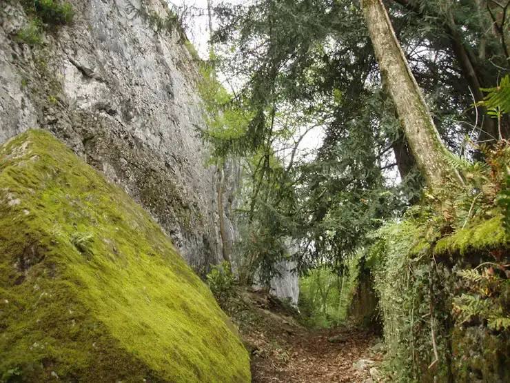 Grottes du loup