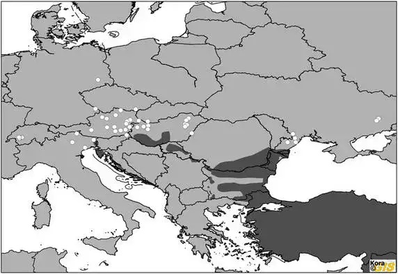 Distribution-Chacal-Dore-Europe