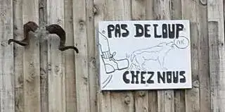 Pas de loup chez nous