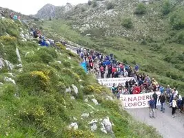 Cantabrique: Manif contre Loup