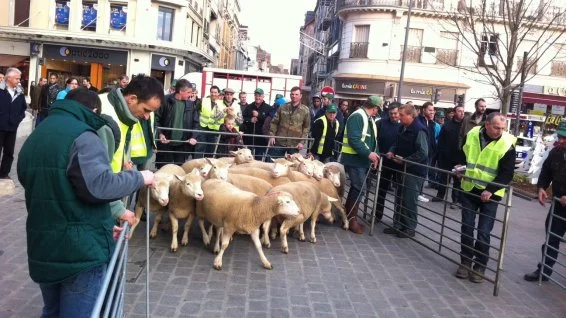 Troyes-Manifestation-Eleveurs