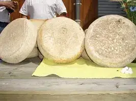 Fromages du Val Azun