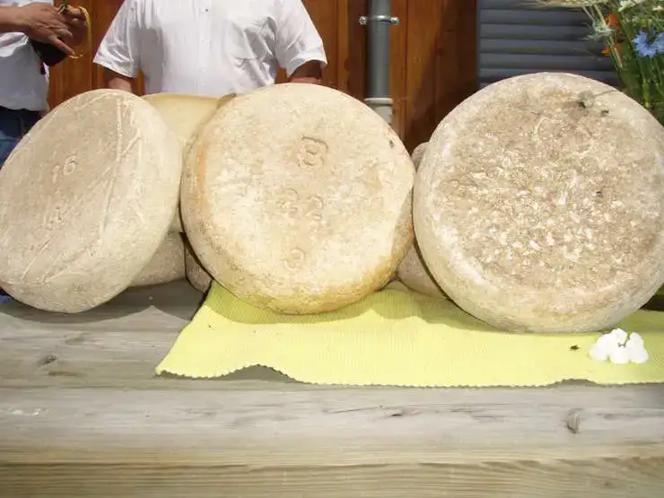 Fromages du Val Azun