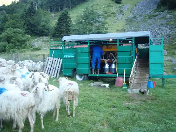 Fromages du Val Azun