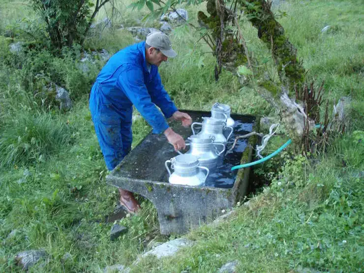 Fromages du Val Azun