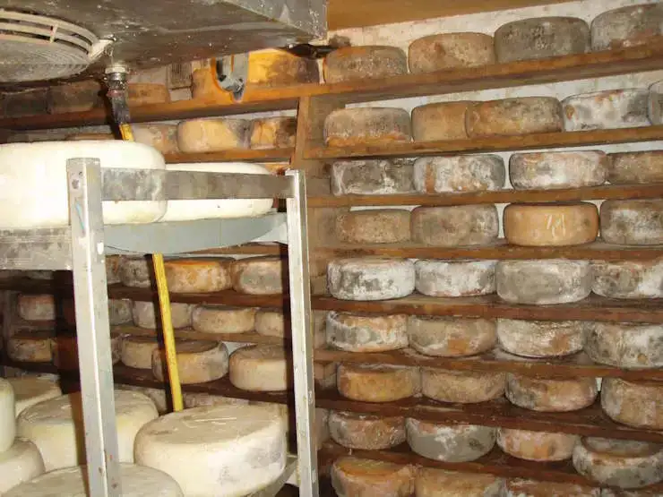 Fromages du Val Azun