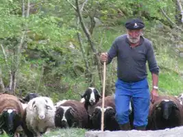 Transhumance Crampe