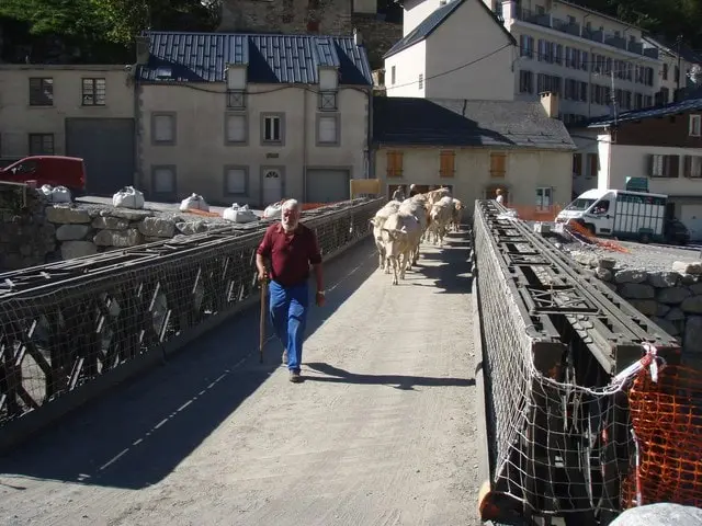 Transhumance Crampe