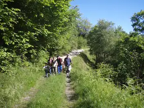 Transhumance Estaing