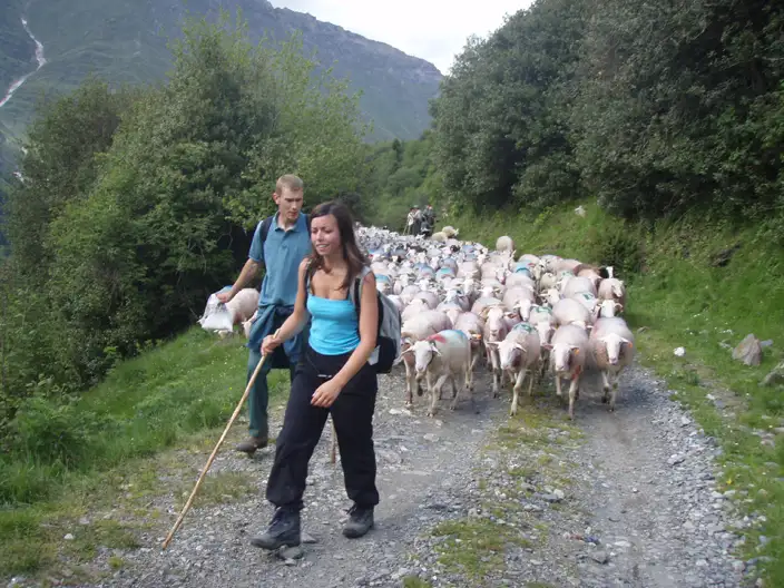 Transhumance Estaing