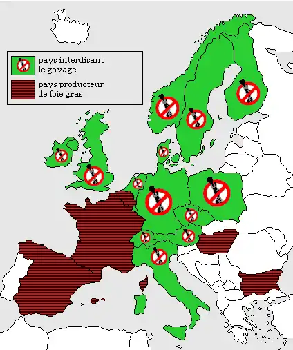 Gavage-carte-interdiction